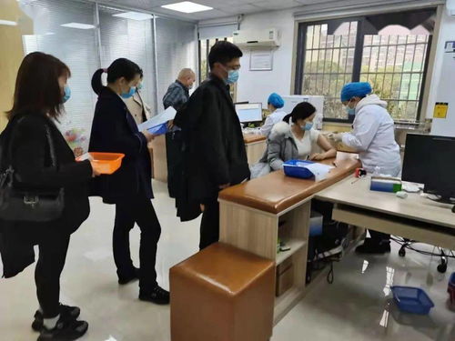 鉚足干勁辦實事，服務群眾開新局——岳麓區黨史學習教育引領教育咨詢服務新實踐