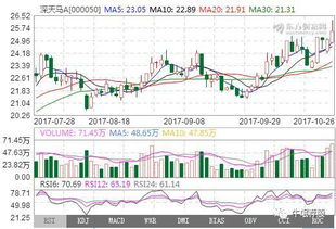 掘金數(shù)字未來 信息技術(shù)咨詢服務(wù)板塊的明日熱門金股解析
